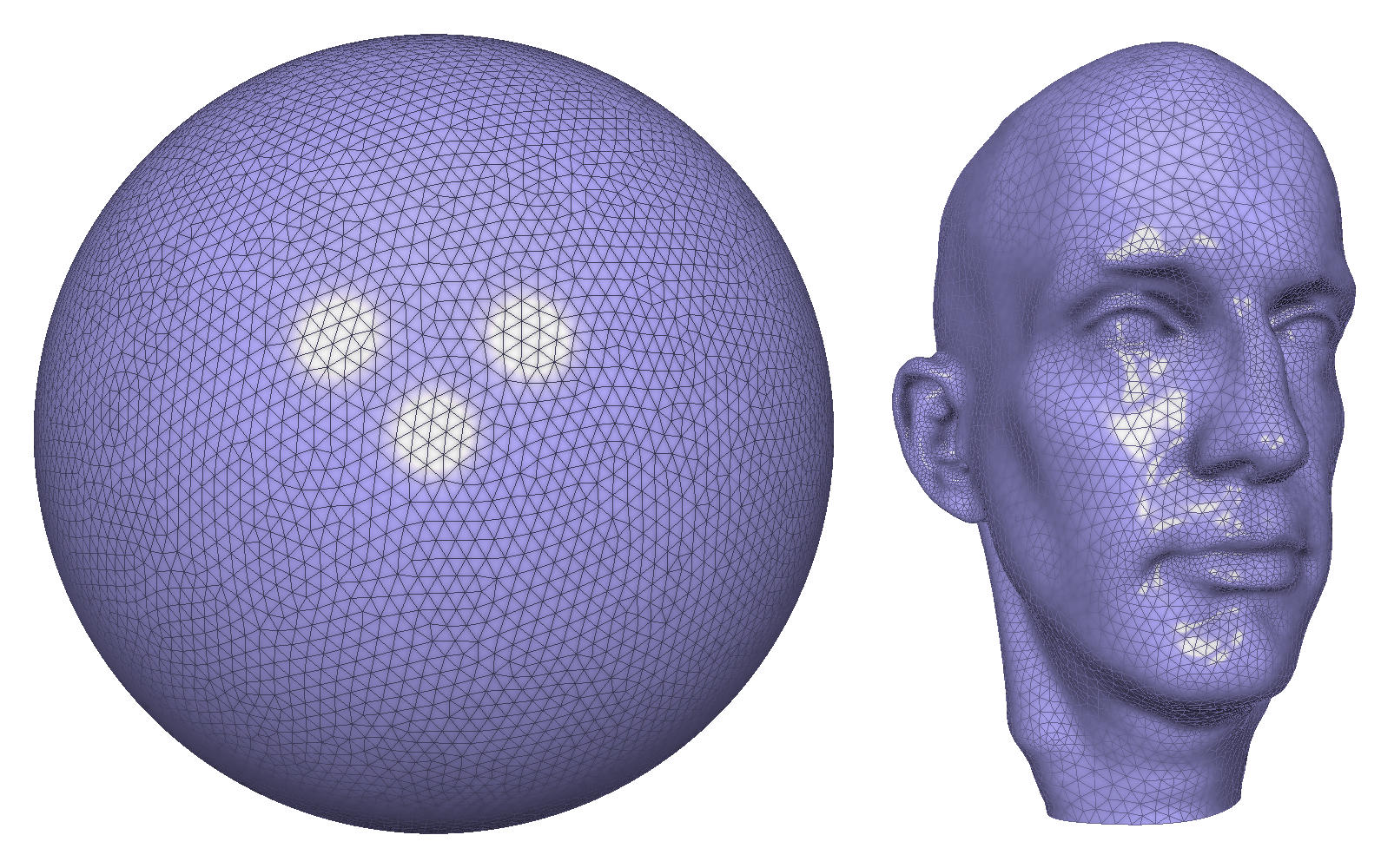 \newline Left: The sphere we start from with 10 807 verticesRight: The face we want to deform the sphere into with 12 024 vertices.